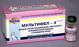 privivki3