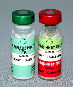 privivki4