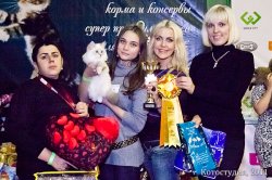 Краснодар, ноябрь, 2012