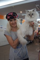 Мариуполь, июль 2013