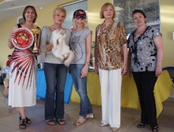 Мариуполь, май 2013