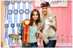 Мариуполь, июль 2013