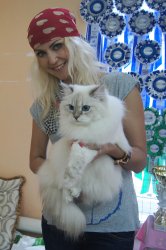 Мариуполь, июль 2013