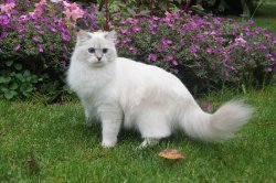 1 год и 3 месяца