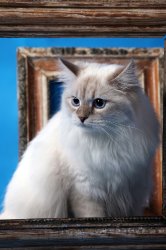 9 месяцев