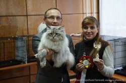 Жан и первые победы