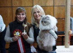 Жан и первые победы