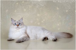 Искандер, 8 месяцев