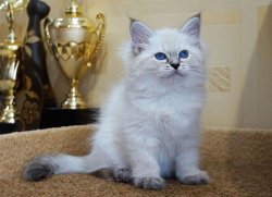 Уля, 2 месяца