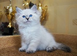 Уля, 2 месяца