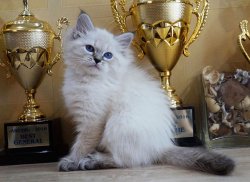 Уля, 2 месяца