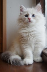 Буян, 2 месяца