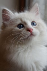 Буян, 2 месяца