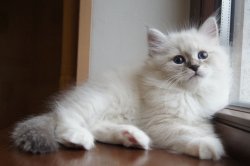 Божена, 2 месяца