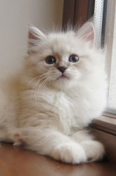 Божена, 2 месяца