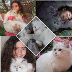 Помет Б шлет приветы в родной дом