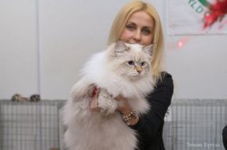 Искандер - бесспорный победитель! 