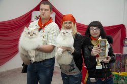 Выставка в Черкесске, 2015