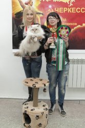 Искандер и Любава - триумфаторы!