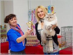 Отец и сын выступили достойно!