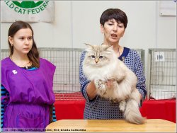 Отец и сын выступили достойно!