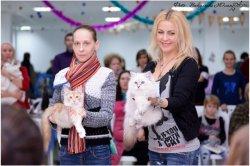 Радость побед больших и маленьких