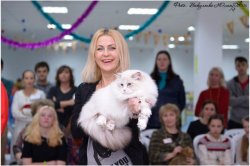 Выставка в Сочи, 4-5-6 января, 2016