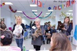 Радость побед больших и маленьких