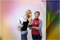 Радость побед больших и маленьких
