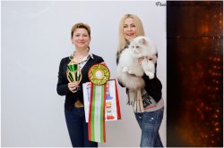 Радость побед больших и маленьких