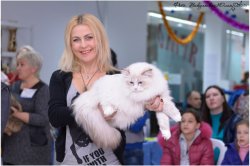 Радость побед больших и маленьких