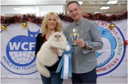 Варя - бесспорный шоу-темперамент!