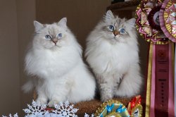 Леночка и Варя