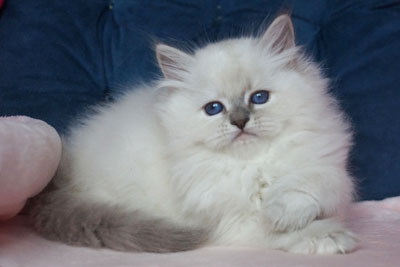 Ленский