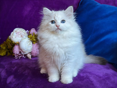 Ленский