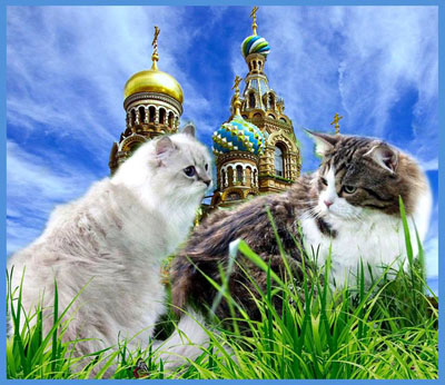 ведуняша и люблюша питерские