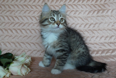 казах