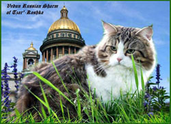 отец для сайта